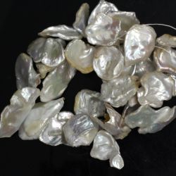 Perle de Cultura Heishi Margele Pentru Bijuterii 15-23 x 20-30 mm - Lungima Sirag 37 cm - AAA