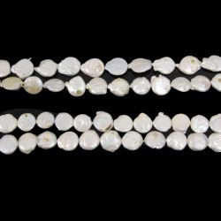 Perle de Cultura Disc Margele Pentru Bijuterii - 18-26 x 18-22 mm